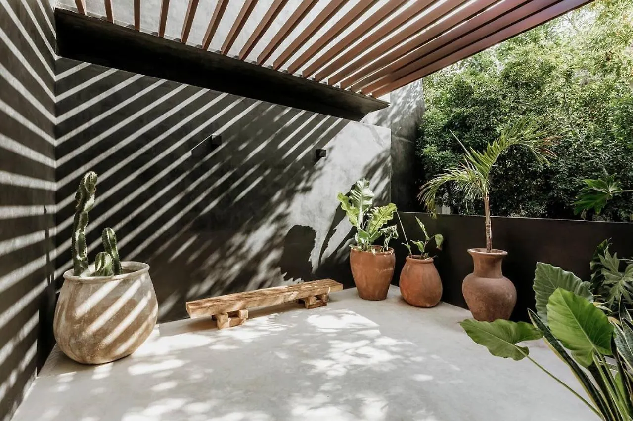 Mar Y Miel Noir Modern Apartment Tulum Mexico